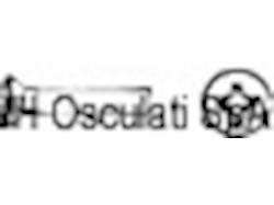 Viti sv.goc.cro. 3X12 AISI 304 MET/TGS3X12